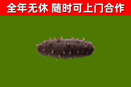 大悟烟酒回收干海参.jpg